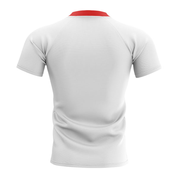 St George Dragons NRL Mens Adults Replica Jerseys