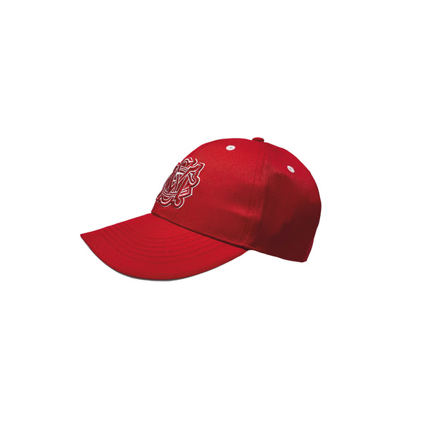Sydney Swans Adults Mens 3D Logo Cap