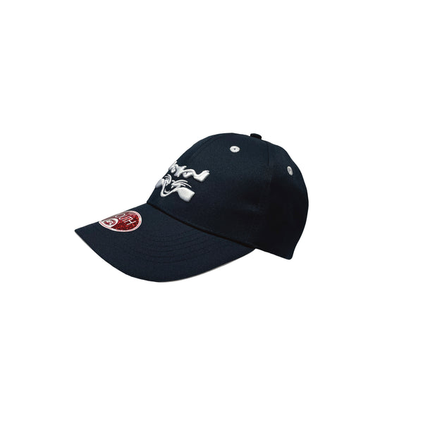 Geelong Cats Boys Youths 3D Logo Cap
