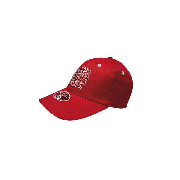 Sydney Swans Boys Youths 3D Logo Cap