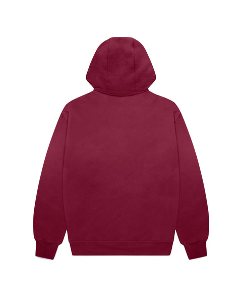 Brisbane Lions Mens Adults Team Crest OTH Hoody