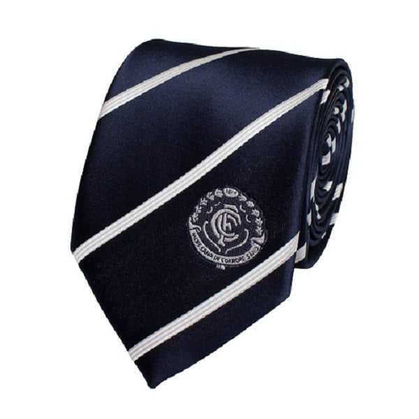Carlton Blues Stripe Tie