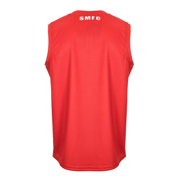 Sydney Swans AFL Mens Adults Footy Jumper Guernsey